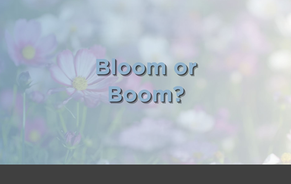 Bloom or Boom?